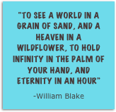 “To see a world in a grain of sand, and a heaven in a wildflower, to hold infinity in the palm of your hand, and eternity in an hour”
-William Blake